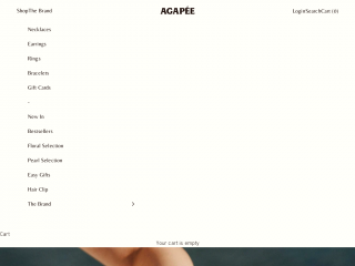 agapee.com screenshot