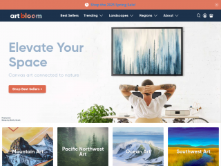 artbloom.co screenshot