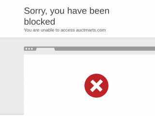 auctmarts.com screenshot