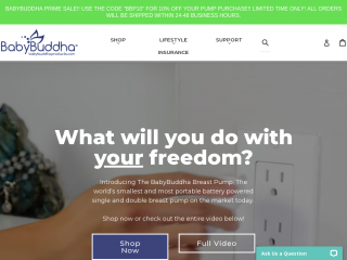 babybuddhaproducts.com screenshot