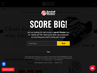 baseballmonkey.com screenshot