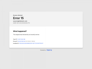 bigbitebaits.com screenshot