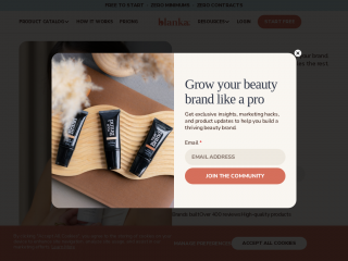 blankabrand.com screenshot