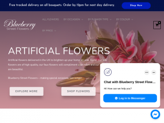 blueberrystreetflowers.co.uk screenshot