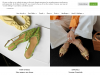 chikoshoes.com coupons