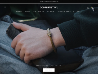 coppertistwu.com screenshot