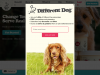 differentdog.com coupons