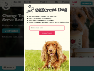 differentdog.com screenshot