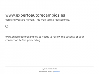 expertoautorecambios.es screenshot