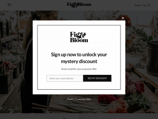 figandbloom.com screenshot