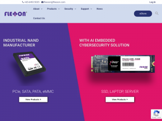 flexxon.com screenshot