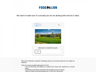 foodlion.com screenshot