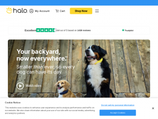 halocollar.com screenshot