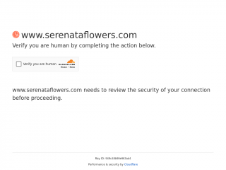 hipper.com screenshot