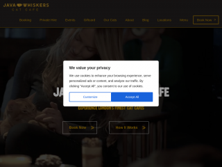 javawhiskers.co.uk screenshot