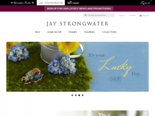 jaystrongwater.com screenshot