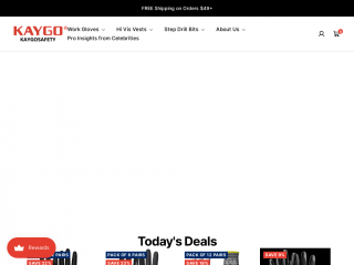 kaygosafety.com screenshot