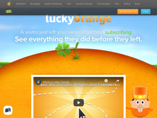 luckyorange.com screenshot