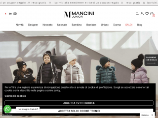 mancinijunior.com screenshot