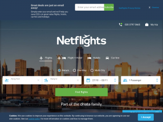 netflights.com screenshot