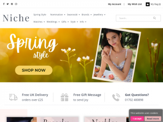 nichejewellery.co.uk screenshot