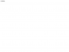 palmangels.com coupons