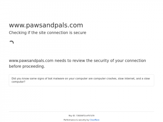 pawsandpals.com screenshot