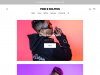 pinkdolphinonline.com coupons