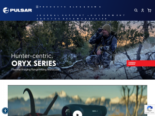 pulsarnv.com screenshot