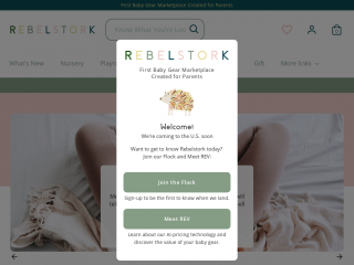 rebelstork.com screenshot