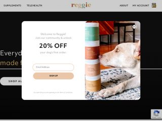 reggie.com screenshot