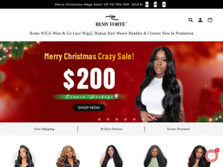 remyforte.com screenshot