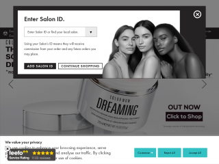 salontrusted.com screenshot