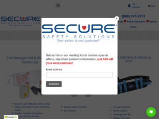 securesafetysolutions.com screenshot