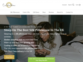 silkpillowcase.co.uk screenshot