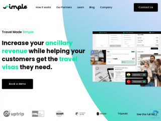 simplevisa.com screenshot