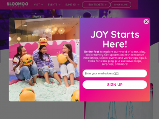 sloomoo.com screenshot