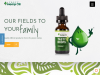 tastyhempoil.com coupons
