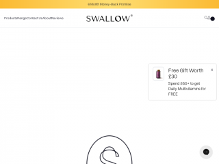 theswallowco.com screenshot