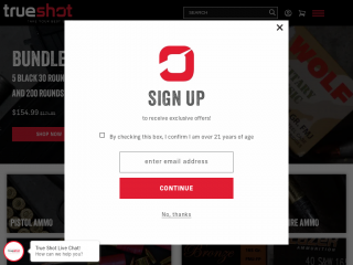 trueshotammo.com screenshot