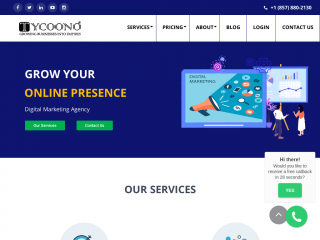 tycoono.com screenshot