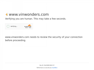 vinwonders.com screenshot