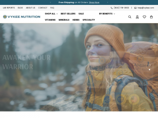 vykee.com screenshot