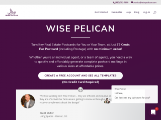 wisepelican.com screenshot