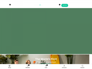 wybotpool.com screenshot