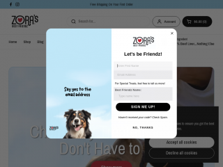 zorasbest.com screenshot